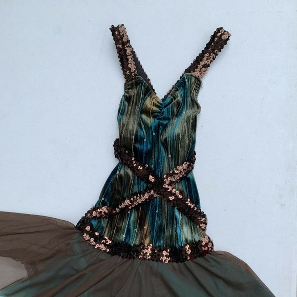 A Wish Come True Green/Brown Dance Halloween Costume Large Child Size 12-14